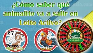 como saber que Animalito va a salir en Lotto Activo.